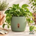 clevonna™ Self-Watering Planter Pot main image