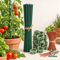 clevonna™ Plant Support Stakes & Clips Set main image