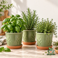 clevonna™ Herb Planter Trio main image